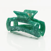 Load image into Gallery viewer, Allie Clips