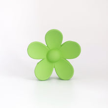 Load image into Gallery viewer, Ava Clips