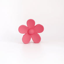 Load image into Gallery viewer, Ava Clips