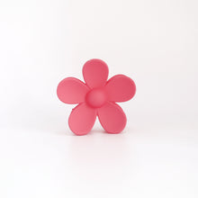 Load image into Gallery viewer, Ava Clips