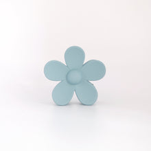 Load image into Gallery viewer, Ava Clips