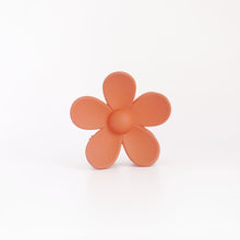 Load image into Gallery viewer, Ava Clips