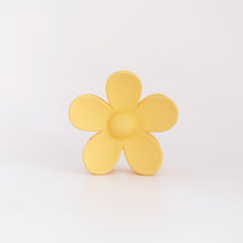 Load image into Gallery viewer, Ava Clips