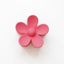 Load image into Gallery viewer, Ava Clips