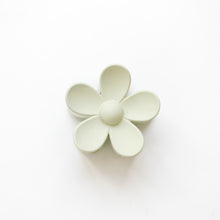 Load image into Gallery viewer, Ava Clips