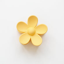 Load image into Gallery viewer, Ava Clips