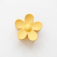 Load image into Gallery viewer, Ava Clips